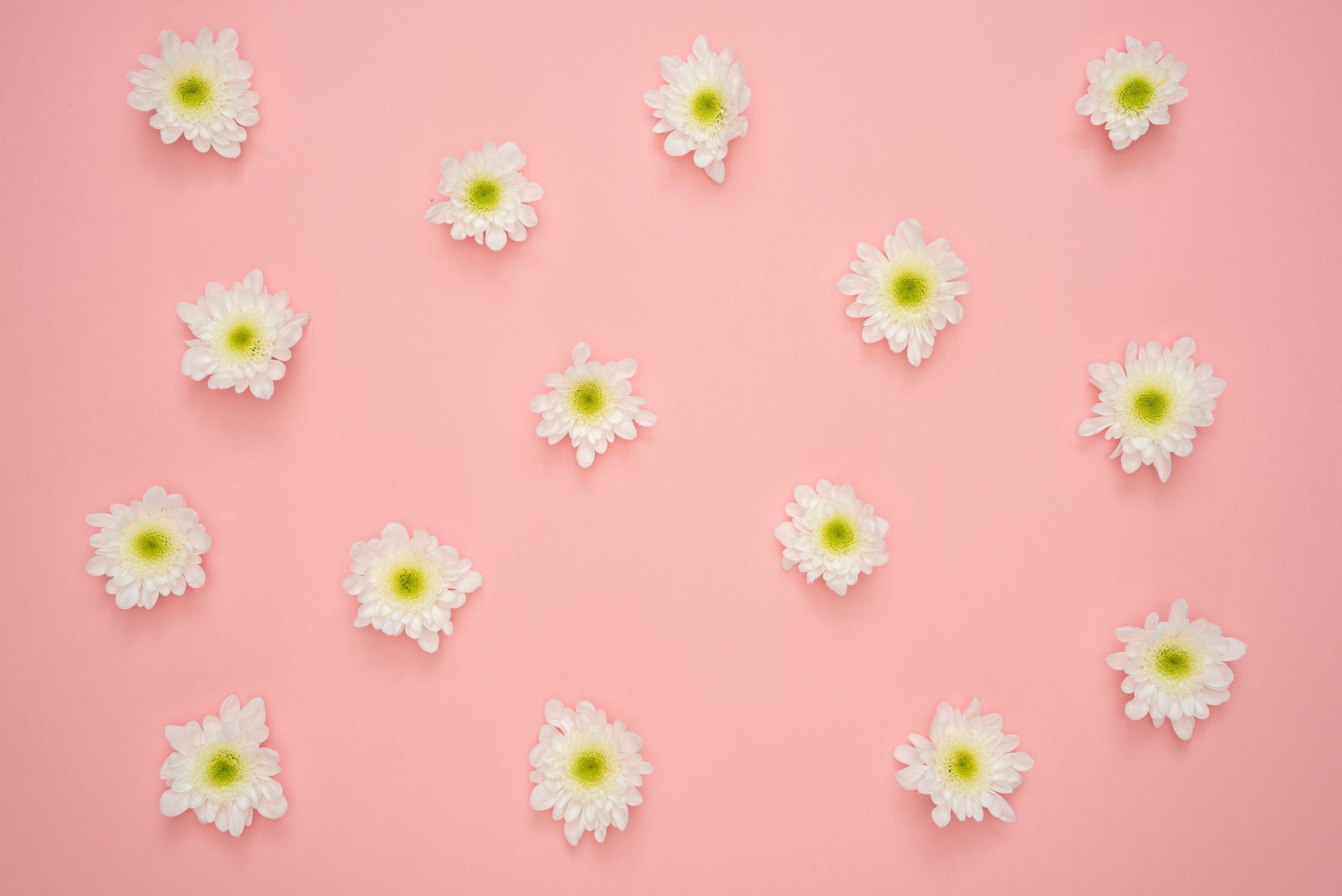 Summertime Self-Care Series: Keeping Your Skin Hydrated (on a Budget)