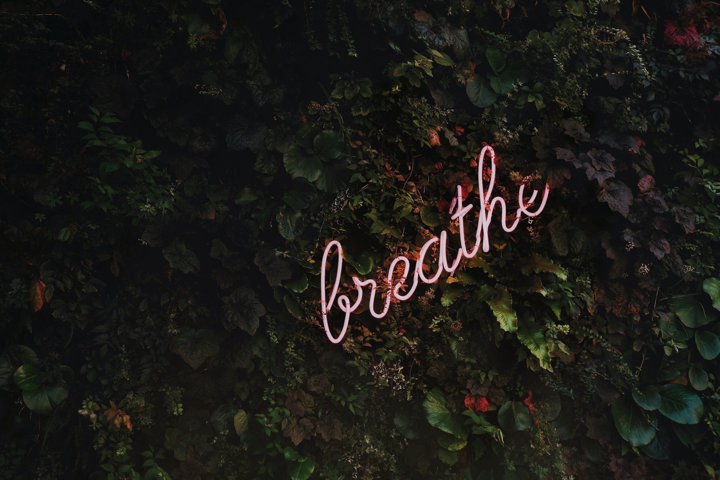 One Year on Grief — What I Learned in the Year Without You Here